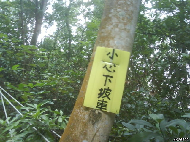 社頭7100 OR有人騎過嗎??