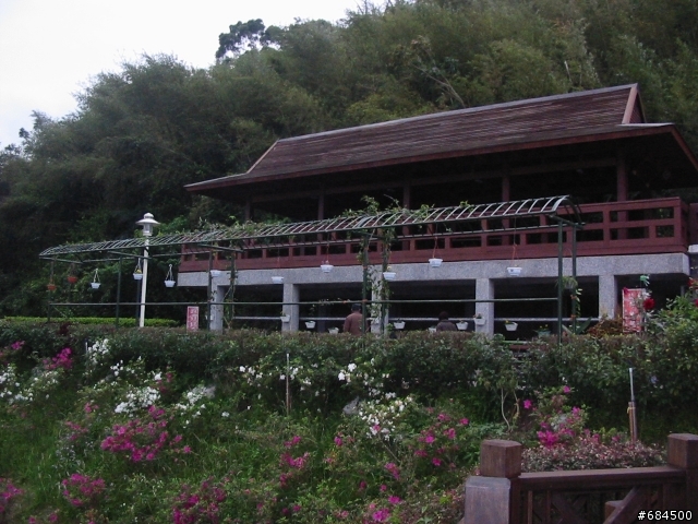 東遊記之關山自行車道與黑森林公園(圖多)