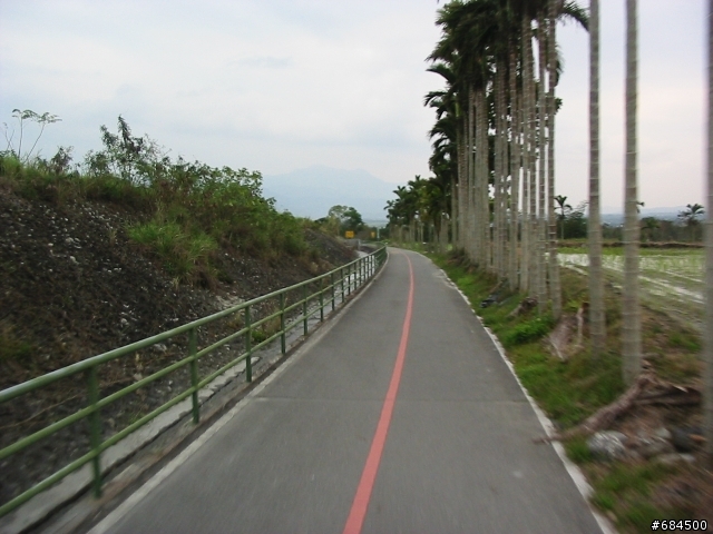 東遊記之關山自行車道與黑森林公園(圖多)