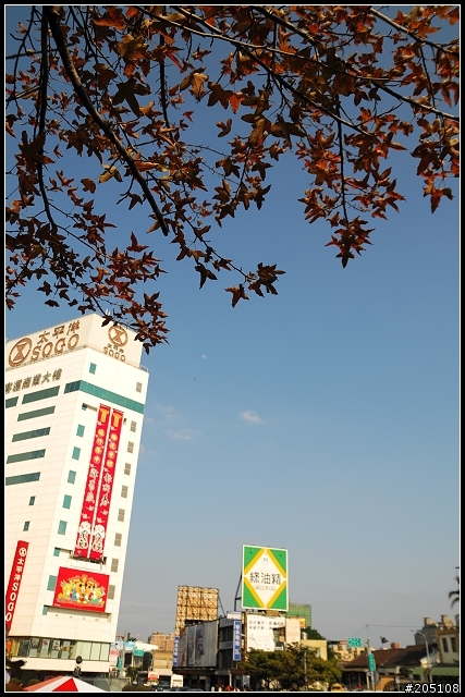 [Nikon D300開箱]~2/16更新追焦及風景照