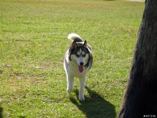 gio in 墾丁