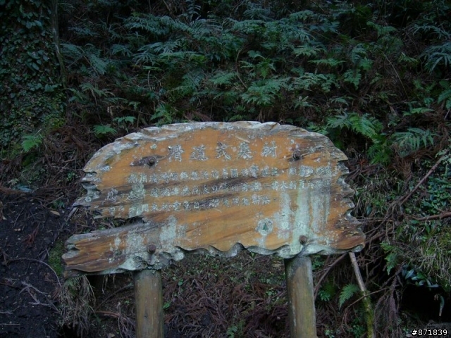 【分享】2008-02-16-雨過天晴的觀霧行