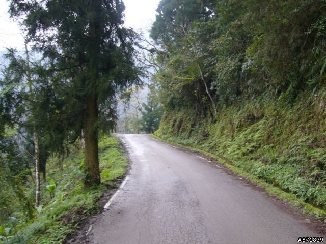 【分享】2008-02-16-雨過天晴的觀霧行