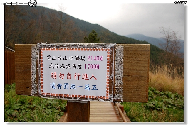 宜蘭往 台七甲 武陵農場 --合歡山!!(照片上傳完成), 小福首次上高山!