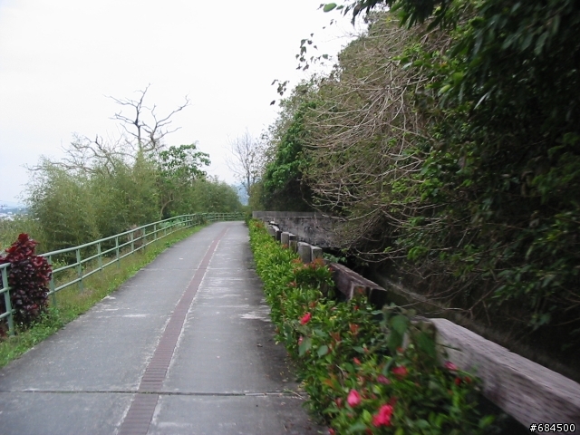 東遊記之關山自行車道與黑森林公園(圖多)
