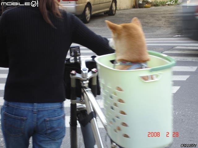 魔男宅急便 在員林二輪木屋出沒