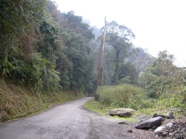 【分享】2008-02-16-雨過天晴的觀霧行