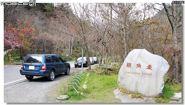 宜蘭往 台七甲 武陵農場 --合歡山!!(照片上傳完成), 小福首次上高山!