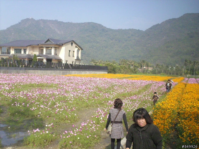 美濃花海破百行