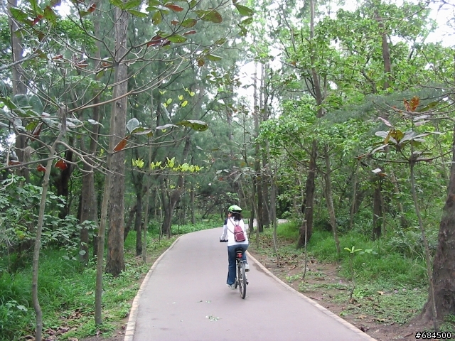 東遊記之關山自行車道與黑森林公園(圖多)