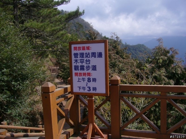 【分享】2008-02-16-雨過天晴的觀霧行