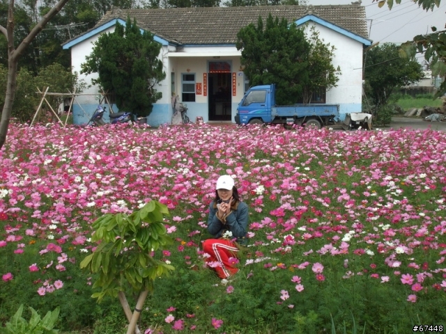 年初3台中潭雅神綠園道海放行