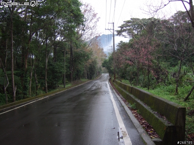 我的畢業返鄉之旅…北橫公路(圖多)