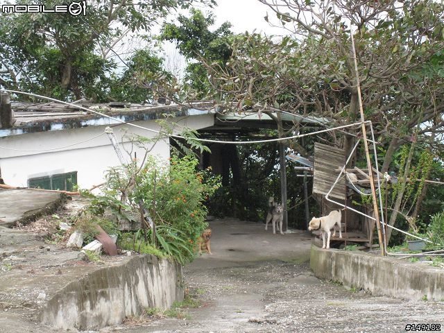2008 無聊宅男  單人 4天3夜  環島之旅