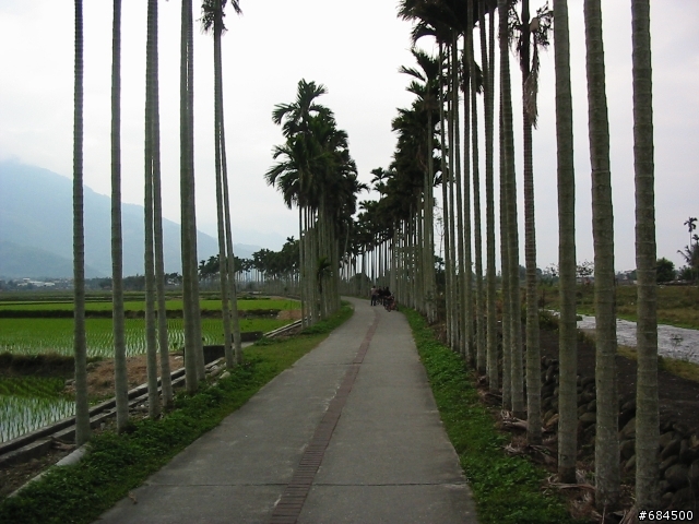 東遊記之關山自行車道與黑森林公園(圖多)