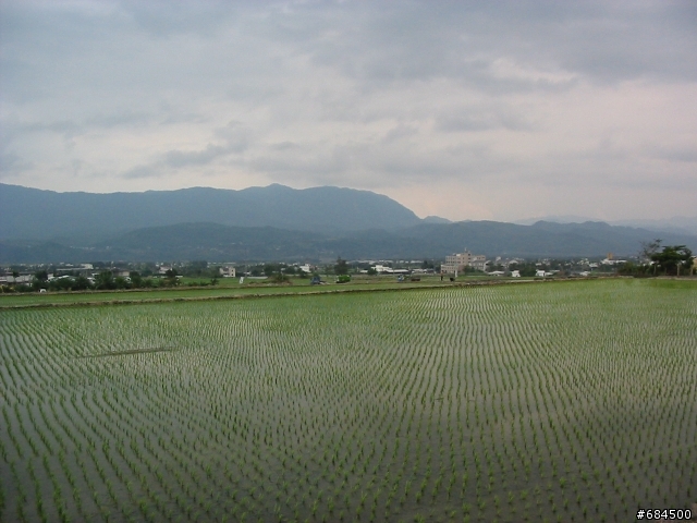 東遊記之關山自行車道與黑森林公園(圖多)