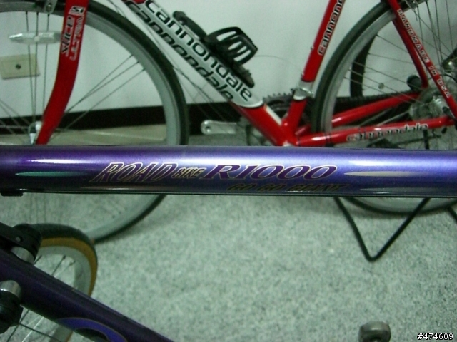 我的GIANT R-1000