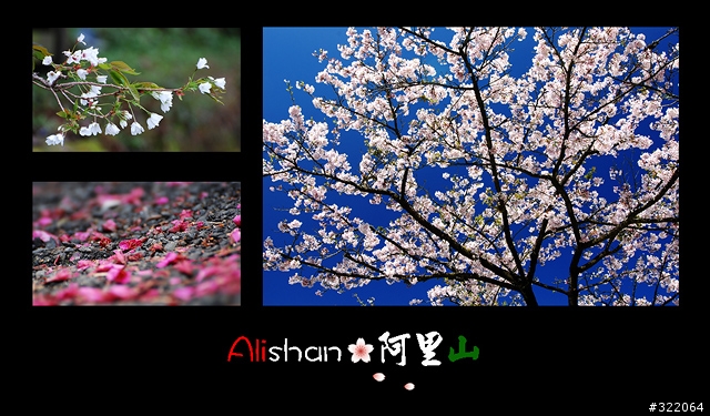 2008 Alishan‧阿里山