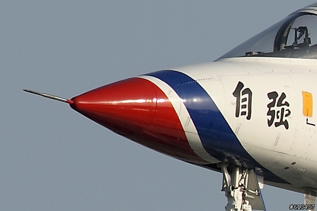 Sigma 100-300mm F4 DG APO打鐵鳥心得分享