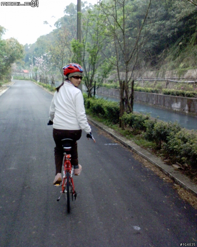 龍潭櫻花大道