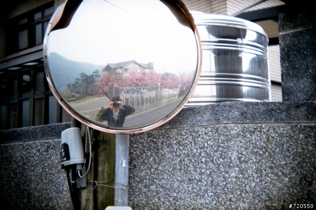 2008 追櫻: 陽明山/阿里山/天元宮