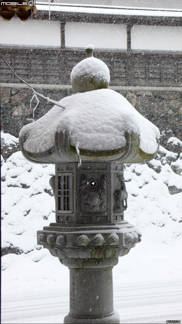 老廟,大樹,雪景,高野山(圖多,新增10張圖,總圖數30張)