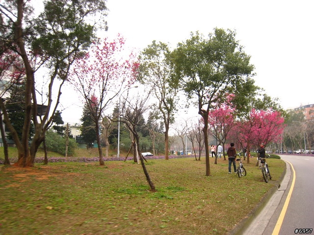2008-03-09 靜心湖親子團溫馨照片