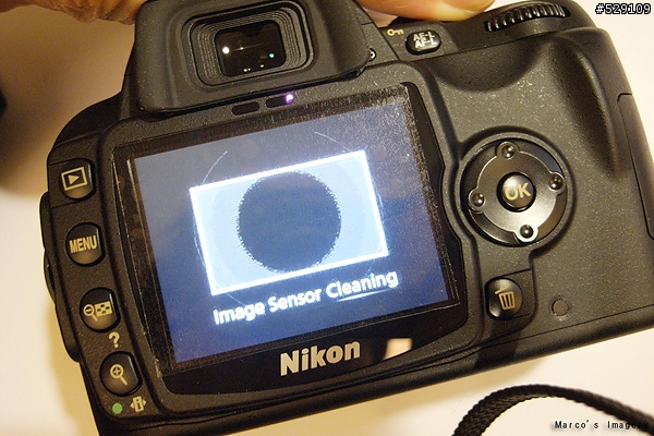 [簡單開箱-Sara's DSLR] D60+A16N II 新增測試照