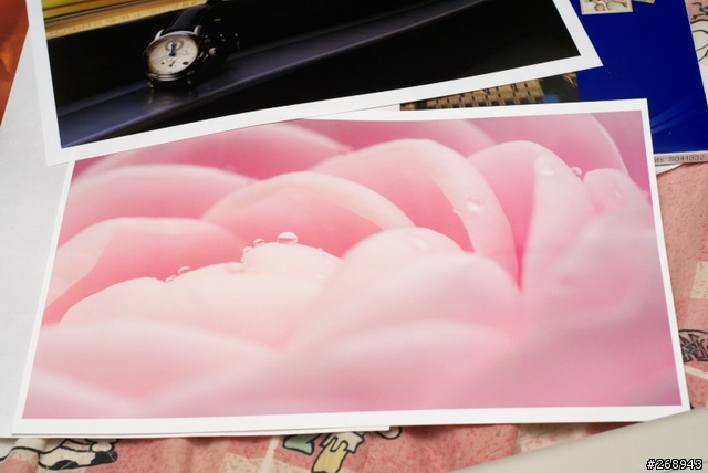 [080310] 數位相機及色彩管理輸出心得