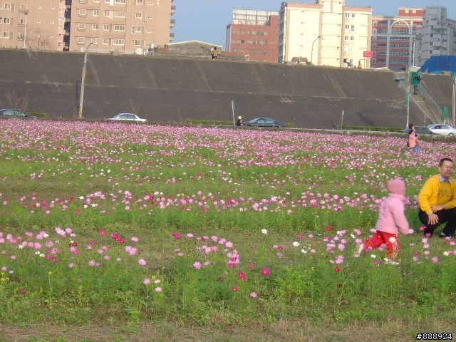 二重環狀自行車道半日遊