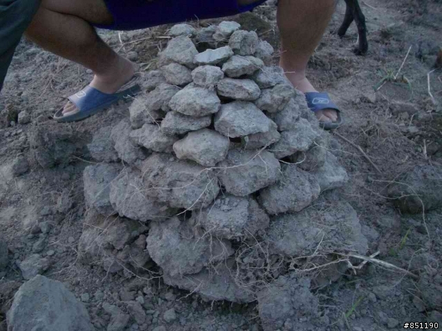 [分享]小小鄉鎮   一個很棒的地方(人情味100分)
