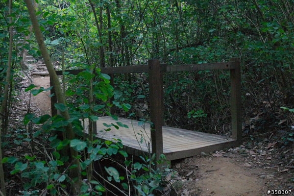 紅毛埤山、山頂子山