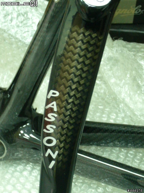 [分享]義大利巨蟒....PASSONI ANIMUS TITANIUM..車子終於組好囉...