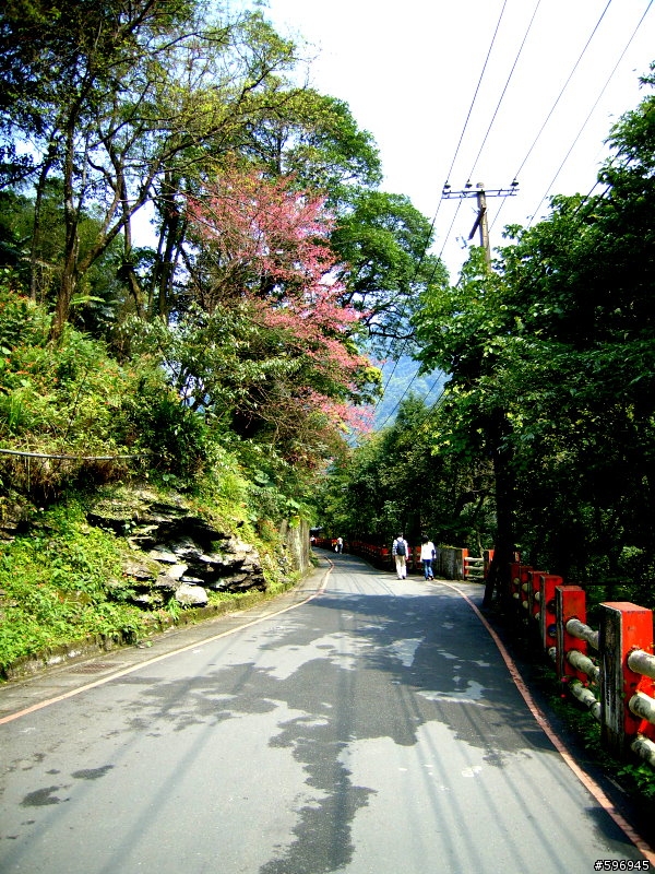 [影像回顧]3月8日週六烏來.內洞.福山行(報平安)