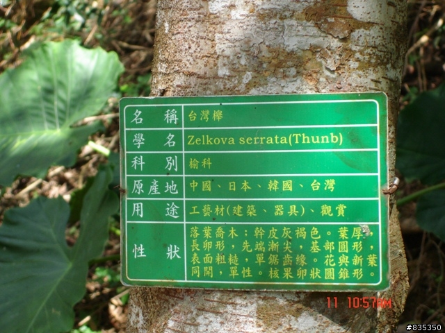 [推薦] 小折環島日記完結篇 ~ 關山 (一定要看喔!)
