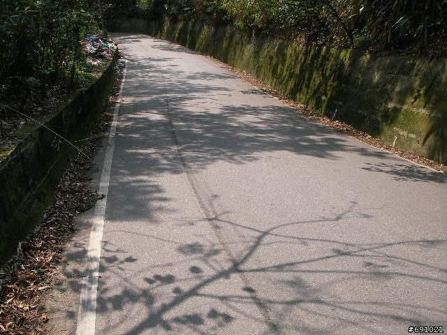 觀音山中直路陡坡白天實景照片