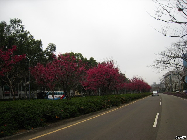 2008-03-09 靜心湖親子團溫馨照片