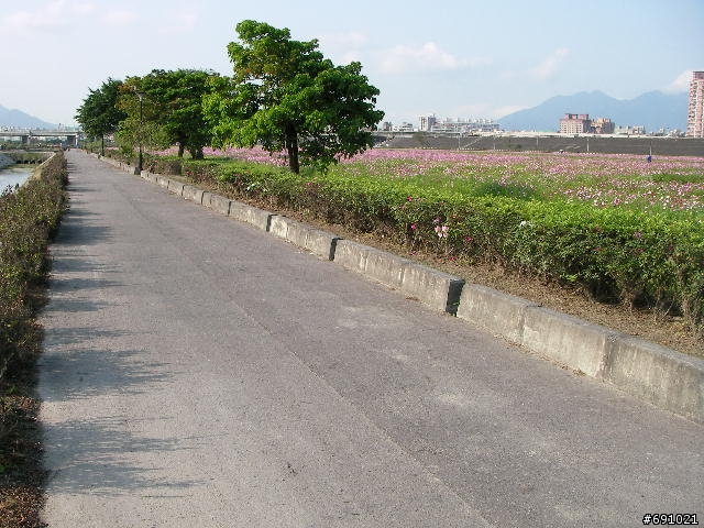 觀音山中直路陡坡白天實景照片