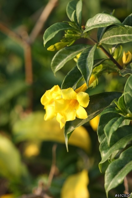 【開箱】40D 新手開箱。（貼圖完成，叉燒包已全滅！）