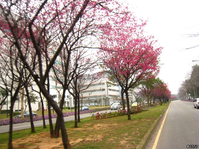 2008-03-09 靜心湖親子團溫馨照片