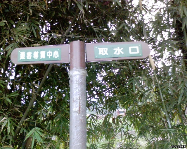 龍潭櫻花大道