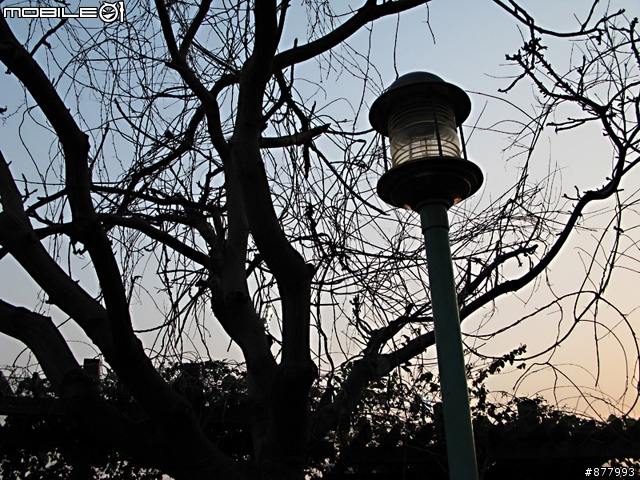 G9第一次試拍新莊運動公園...(加了新圖.看一下啦...)