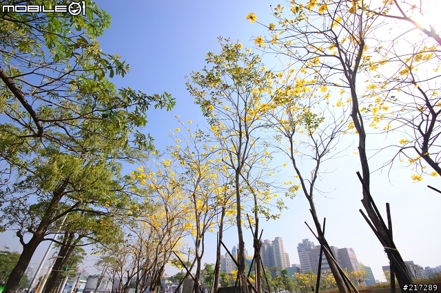 [開箱]我的生日禮物SIGMA 10-20mm F4-5.6 EX DC HSM