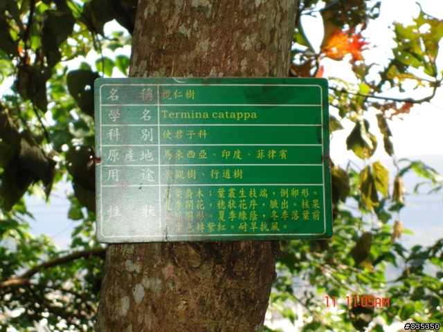 [推薦] 小折環島日記完結篇 ~ 關山 (一定要看喔!)