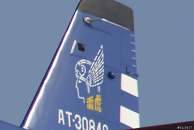 Sigma 100-300mm F4 DG APO打鐵鳥心得分享