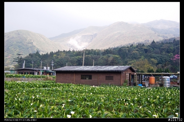 Pentax K20D之色彩表現
