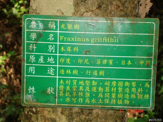[推薦] 小折環島日記完結篇 ~ 關山 (一定要看喔!)