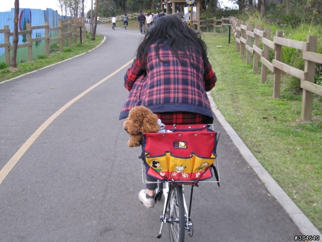 T3.T2自行車(DIY狗狗架)