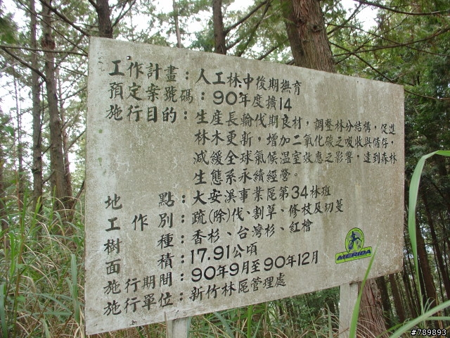 "哇係小蜻蜓"與"大蝸牛"的司馬限林道後段行~(圖多)