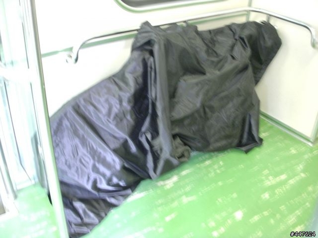 [分享] 自製攜車袋